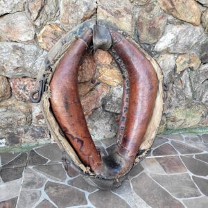 Colar Coleira para cavalo