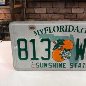 Placa de Carro Florida Sunshine State