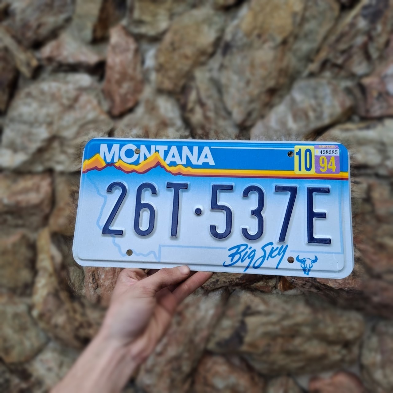 Placa de Carro Americana Montana 1994